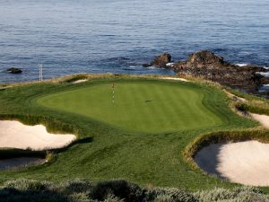 What Is Poa Annua Grass?