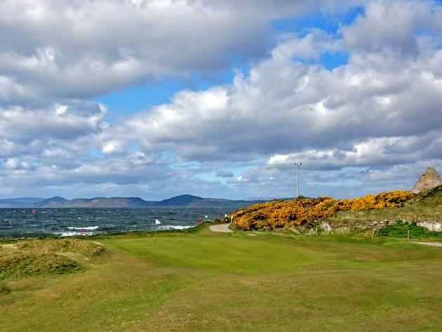 5 of The Best Highland Beauties