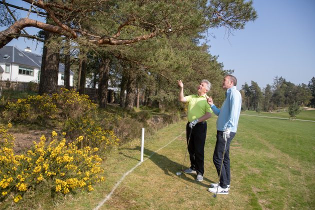 Golf Rules Quiz