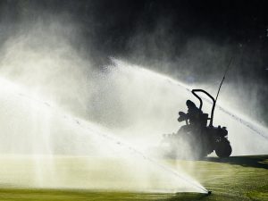 Poorly Kept Course With Perfect Greens Or All-Round Mediocre Course?