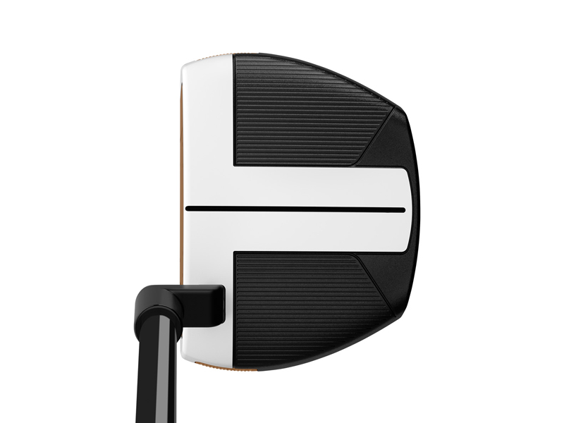 TaylorMade-Spider-FCG-address-web