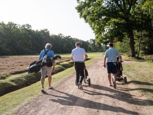 What Have The Initial Reactions To The World Handicap System Been?