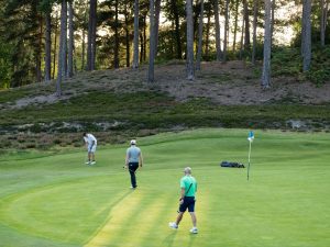 Should More Golfers Putt More Often From Just Off The Green?