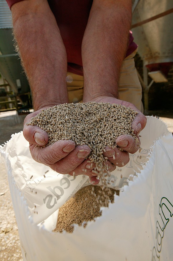 Wheat prices soar shoot feed bills rise Shooting UK