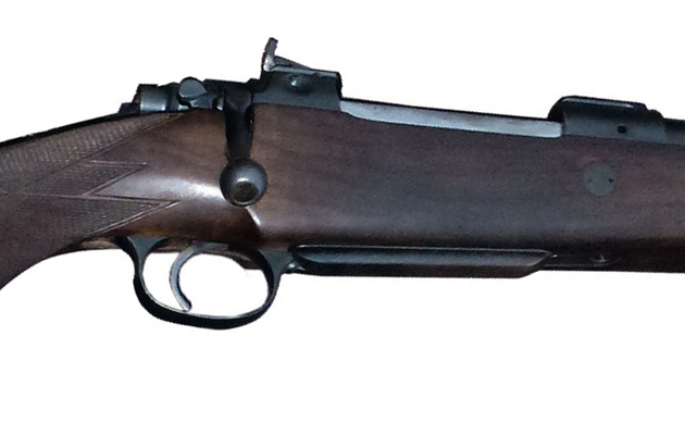 no reason not to use open sights on deer shooting uk