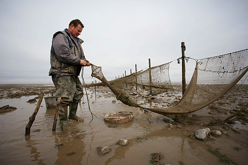 The last mud-horse fishermen - Shooting UK
