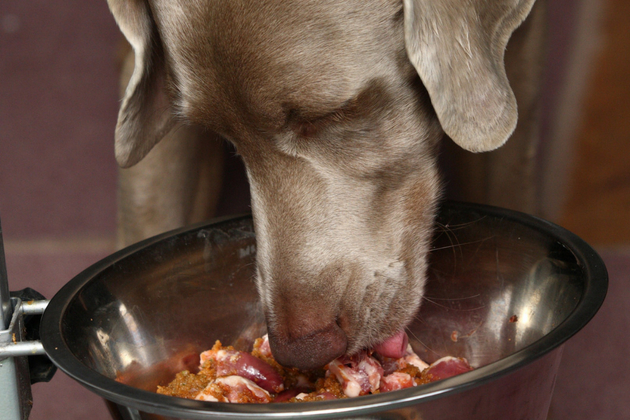 raw meat for dogs for sale