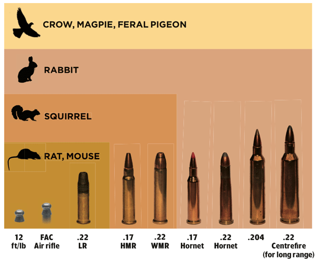 22 Hornet Semi Auto Rifle.