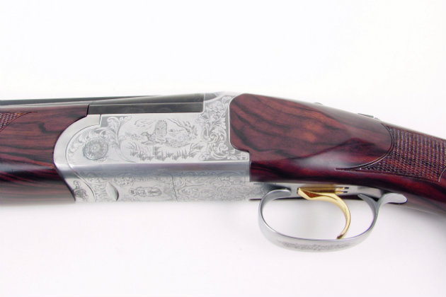 Fausti Falcon