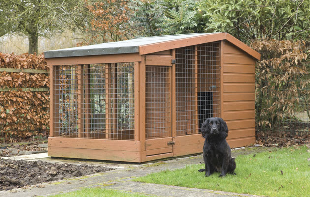 how do you kennel a gundog theft how to protect your gundog from thieves how do you kennel a gundog theft how to protect your gundog from thieves