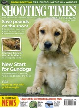 P001_SHT_APR08_COVER.indd