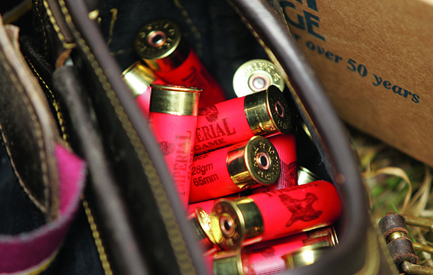 shotgun ammunition