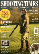 P001_SHT_OCT28_COVER.indd
