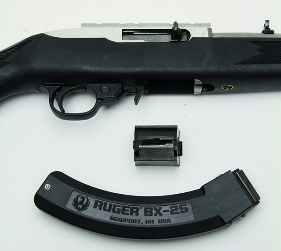 ruger 10 22 stainless