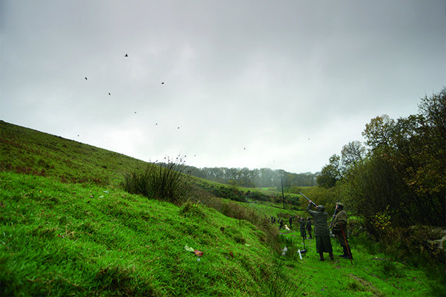 Loyton