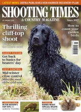 P001_SHT_JAN13_COVER.indd