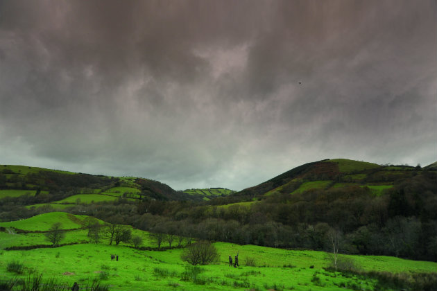Cambrian mountains