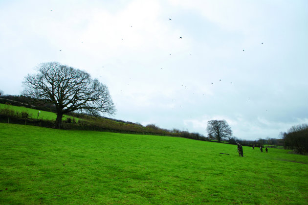 West Molland