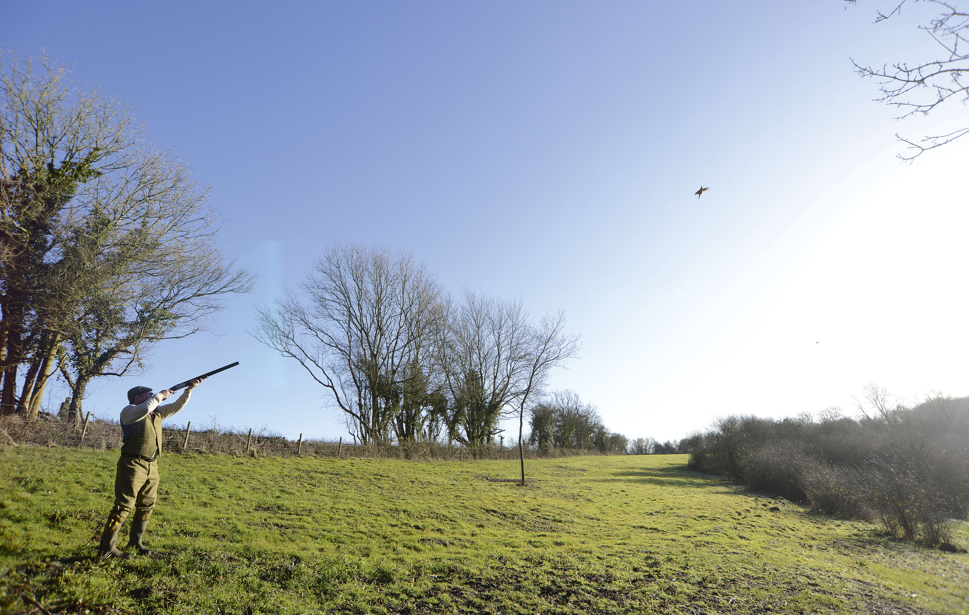 Game shooting etiquette what does a “low bird” mean?