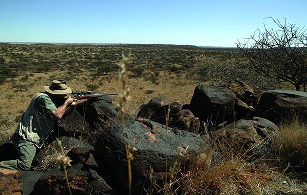 Hunting safaris