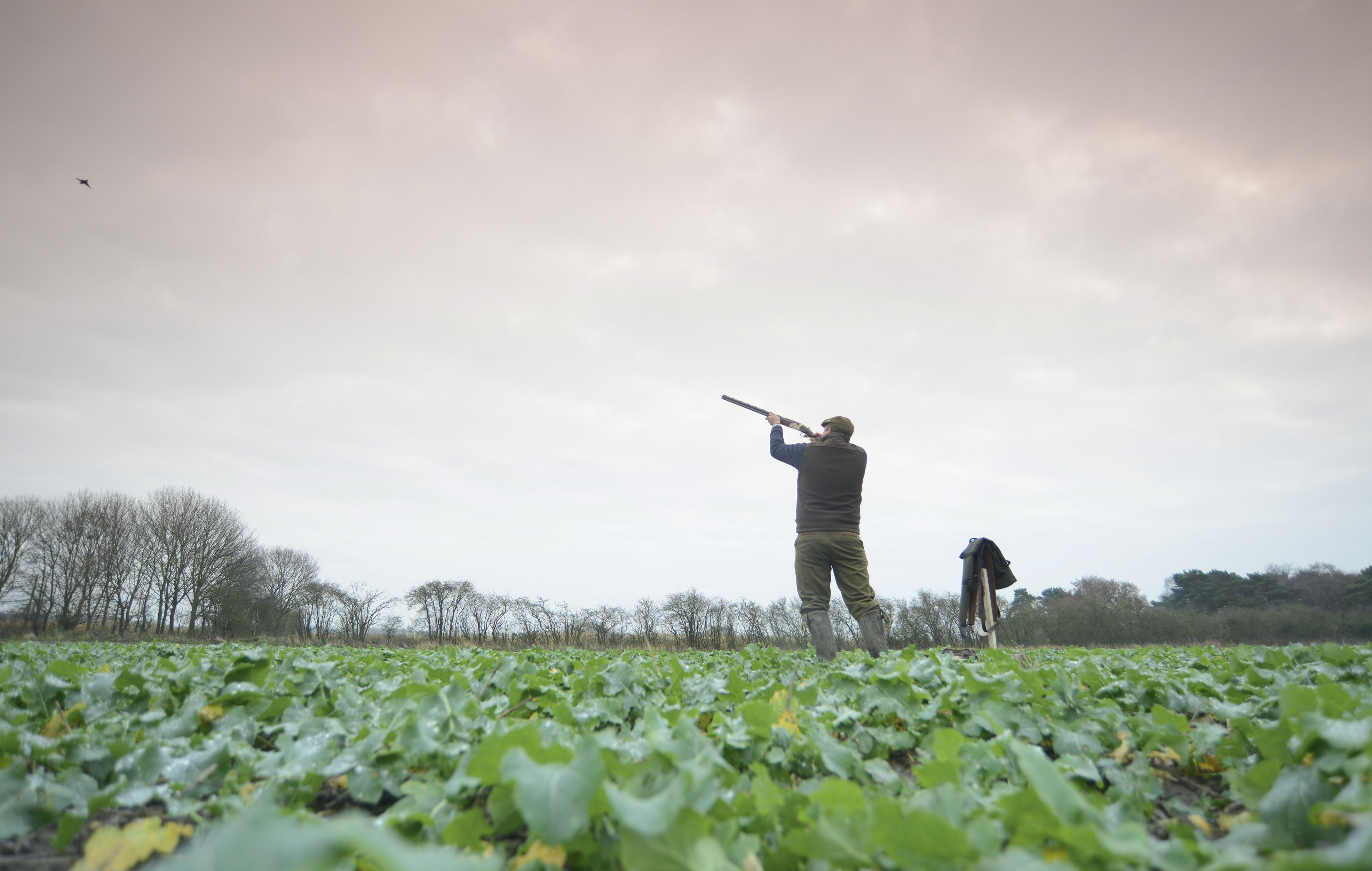 Eagle Hall Shoot, pheasant and partridge shooting in Lincolnshire