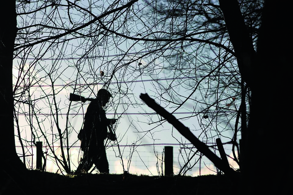 Beaters' day shooting what's the best layout? ShootingUK