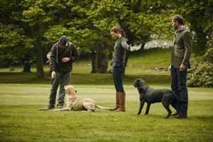 Gundog training at Gleneagles