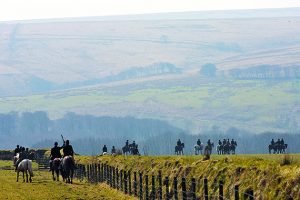 fox hunting