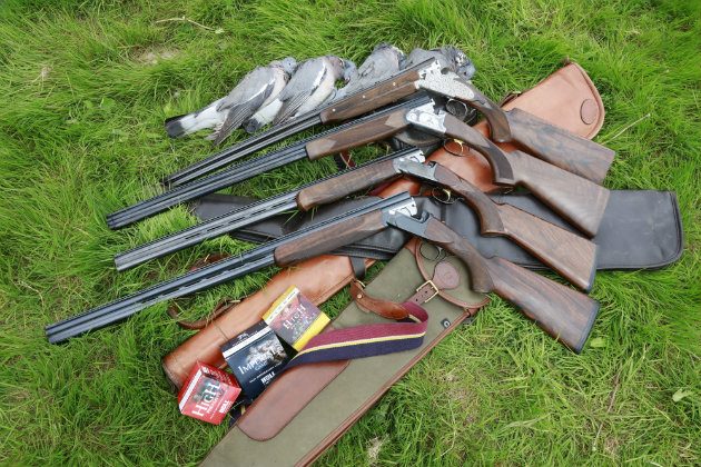 pigeon shooting guns