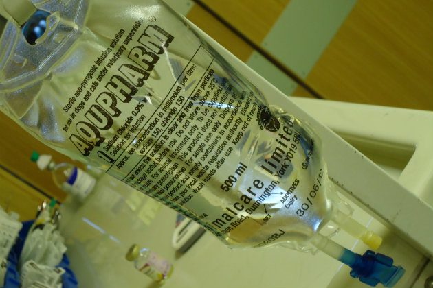 fluid therapy for bloat in dogs