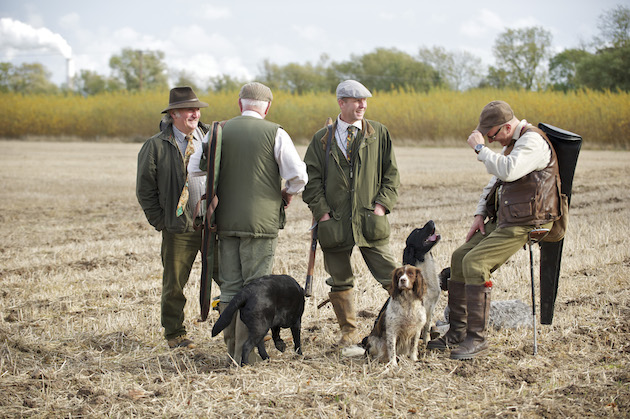 pheasant shooting