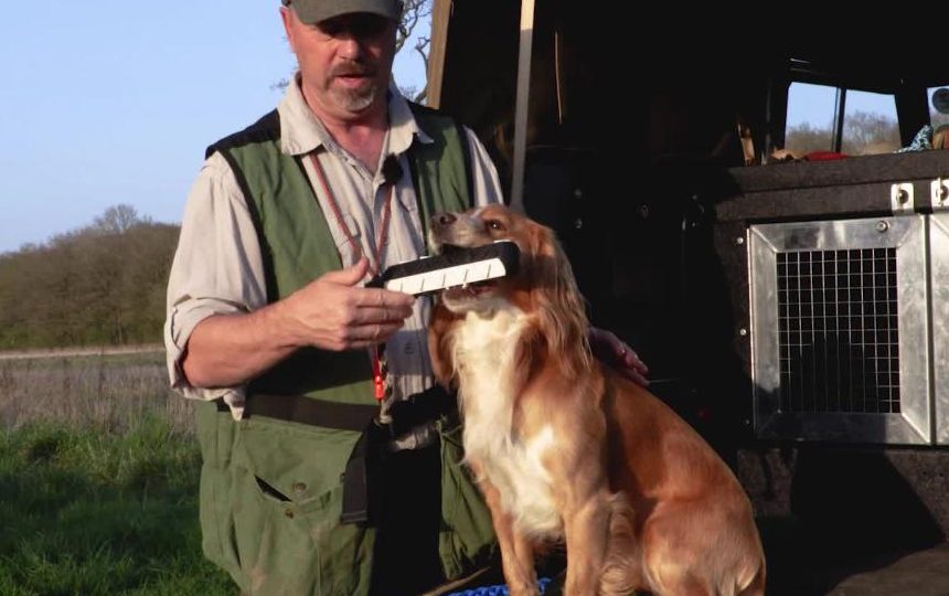 The kit you need for gundog training Shooting UK
