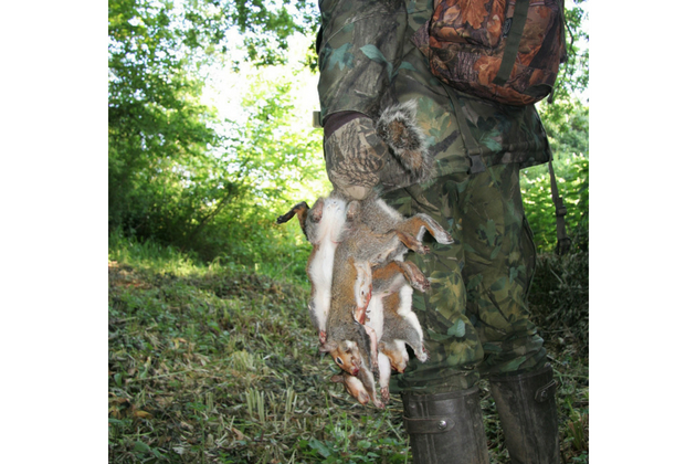 hunting with a legal-limit air rifle