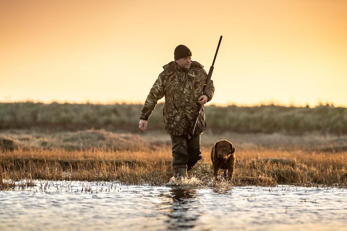 Chesapeake Bay retriever - would this breed suit me? - Vimarsana News