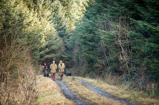 gameshooting in Ireland