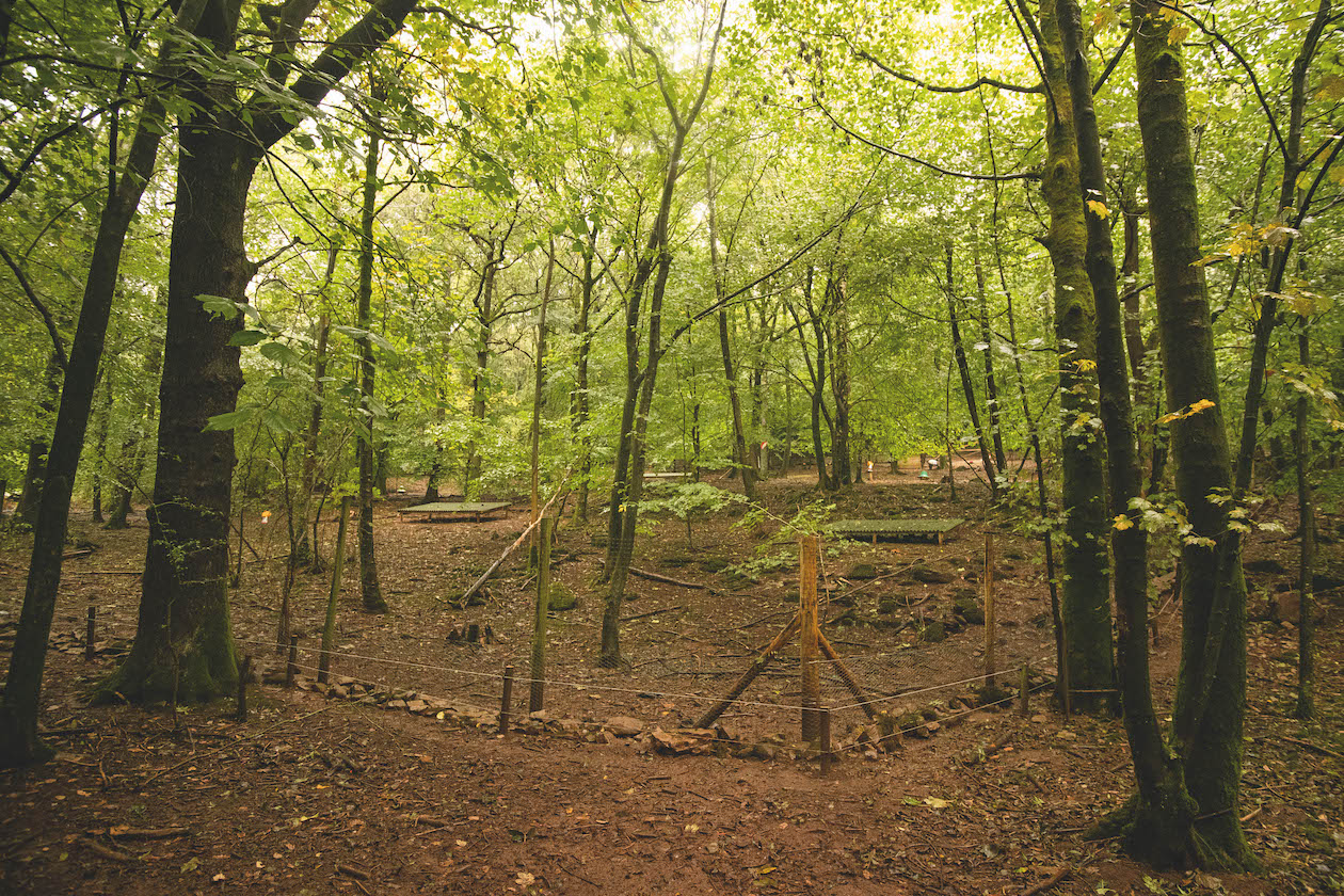 Perfect pheasant pen