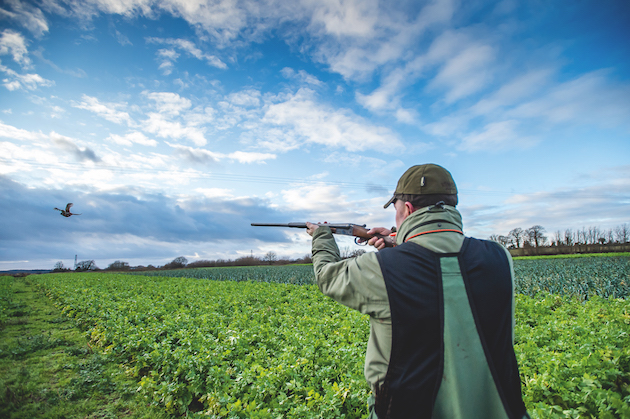 shooting with a lightweight 20-bore