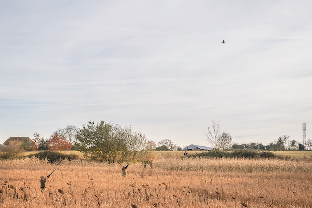 Shooting in a field