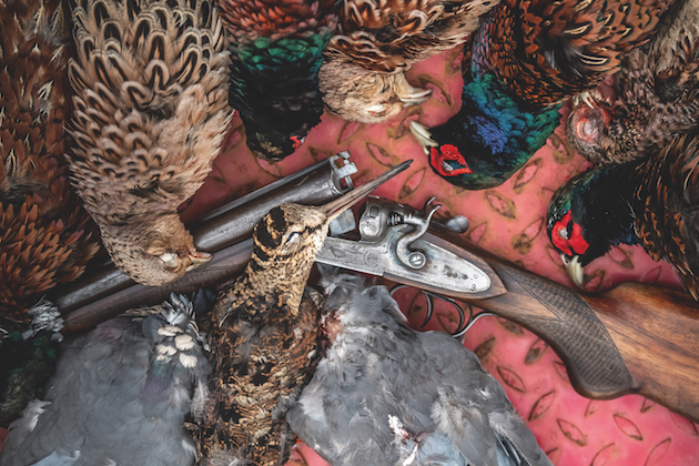 woodcock shooting