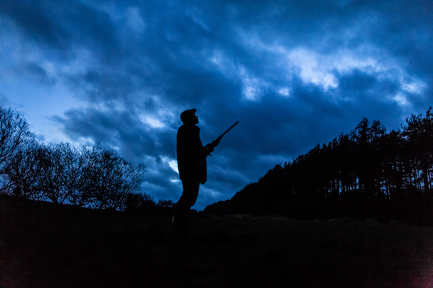 woodcock shooting