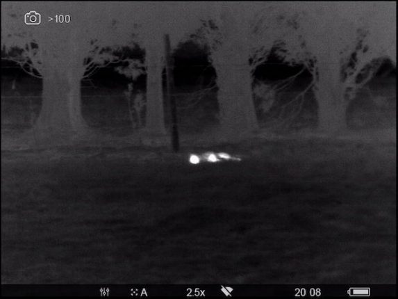thermal imaging tracking quarry