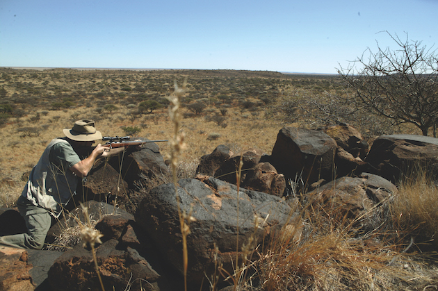 Vintage rifles can still be viable, says Shooting Times magazine Vintage rifles can still be viable, says Shooting Times magazine