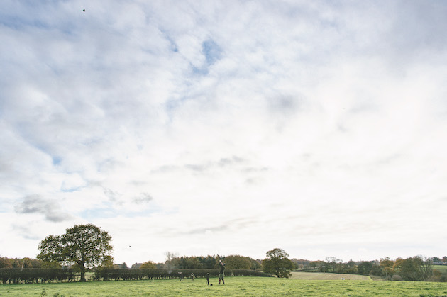 high pheasants