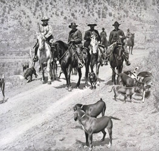 American hunters how they embrace respect for the quarry