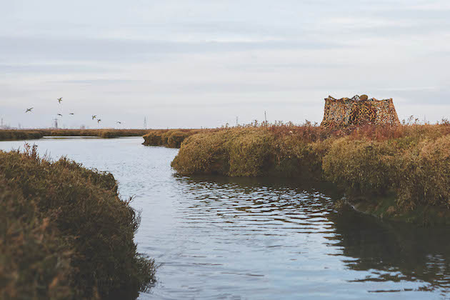 coastal scene