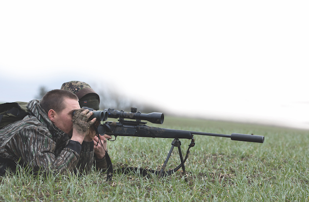 Stalking Chinese water deer