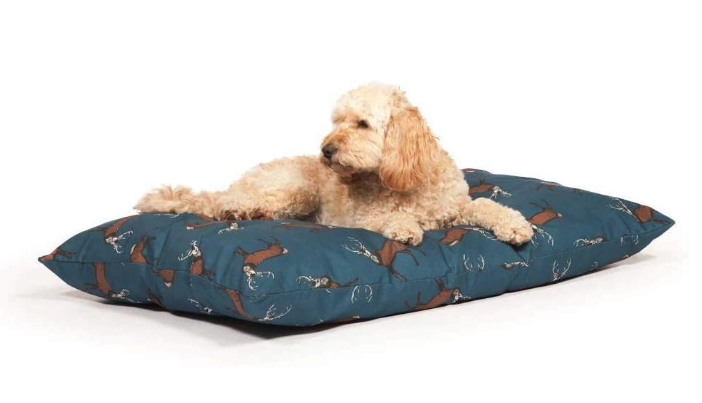 Best gun dog beds we've picked out the favourites