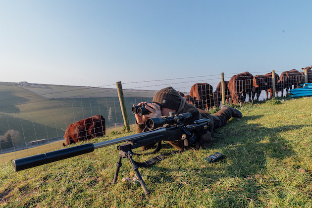 long range foxing