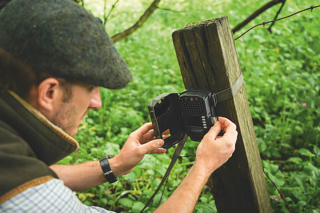 Trail cams for stalking - we road test some of the best for deer - Vimarsana News