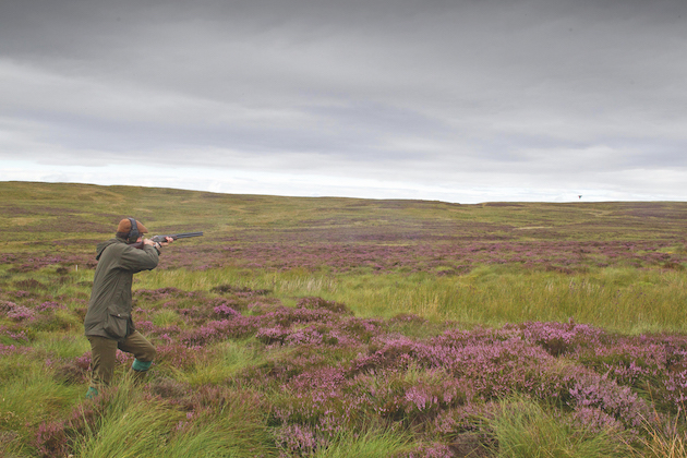 dress for walked-up grouse